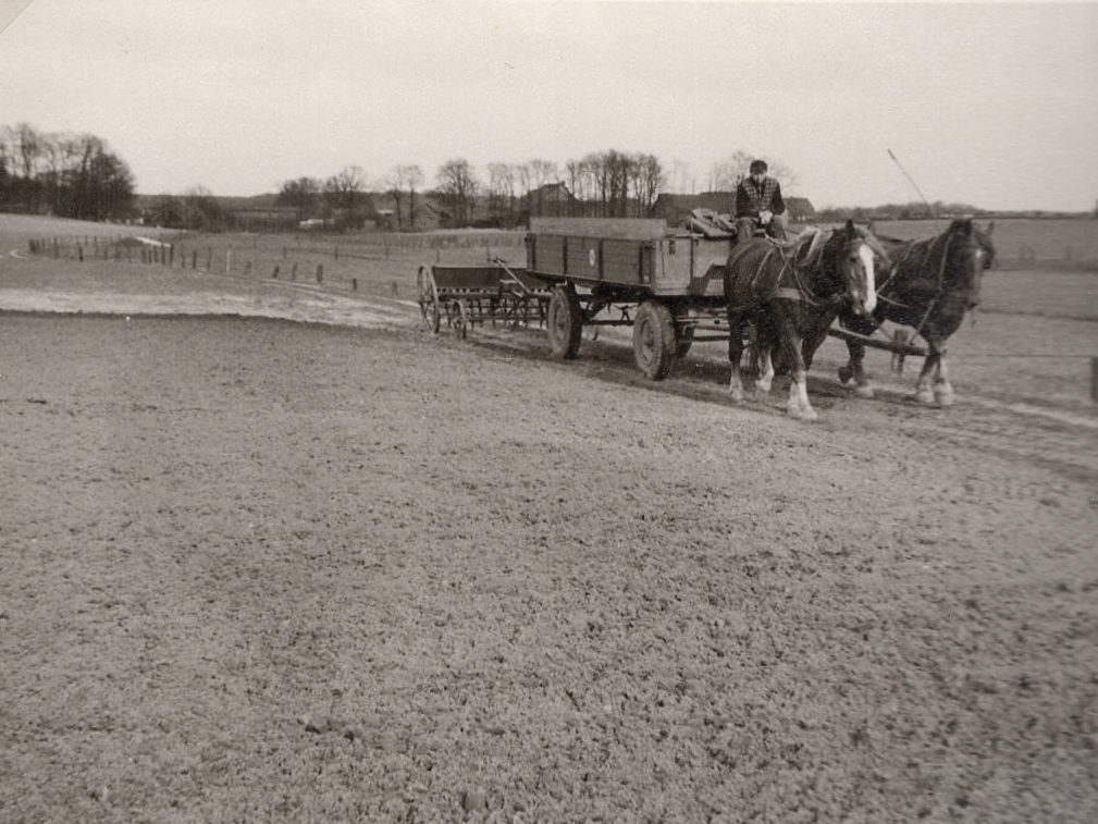 Pferdegespann mit Drillmaschine und Säwagen